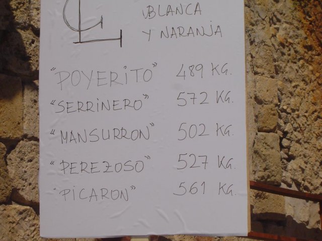 recomendaciones (5)